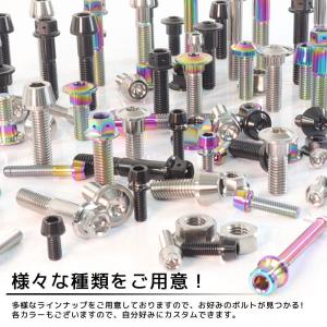 M6×25 P1.00 チタンボルト 1本 6...の詳細画像5