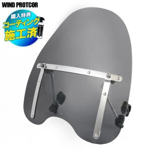 旭風防 af-asahi 旭精器製作所 XSR125 8BJ-RE46J / E34LE用 メーター