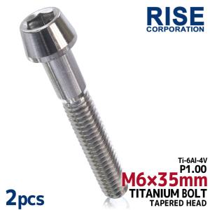 M6×35 P1.00 チタンボルト 2本セット 6mm 35mm ピッチ1.00 シルバー テーパーボルト キャップボルト クランクケース バイク ポイントカバー カウル 車 自転車｜rise-directshop