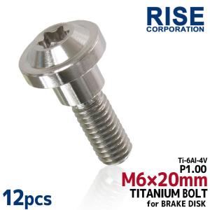 M6×20 P1.00 チタンボルト ブレーキディスクボルト 10本セット 6mm