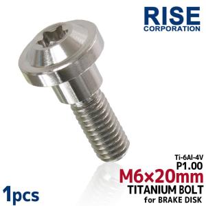 M6×20 P1.00 チタンボルト ブレーキディスクボルト 10本セット 6mm