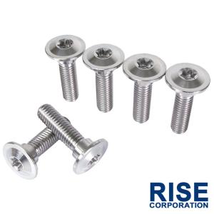 チタンボルト カワサキ NINJA250R専用 ブレーキディスクボルト 前後