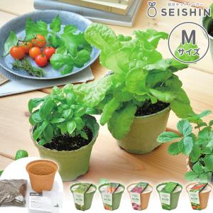 アタリヤ農園 春のお試し野菜種セット [家庭菜園 初心者向け] 11袋