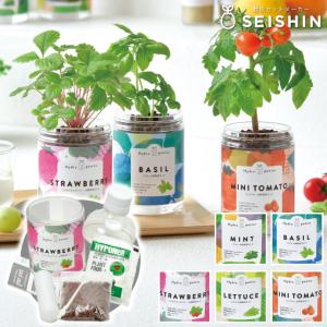 栽培セット 栽培キット 聖新陶芸 グリーンペット GD-1002 聖新陶芸 栽培セット 栽培キット ハーブ栽培キット 栽培 家庭菜園 水耕栽培 自由研究 室内 おしゃれ
