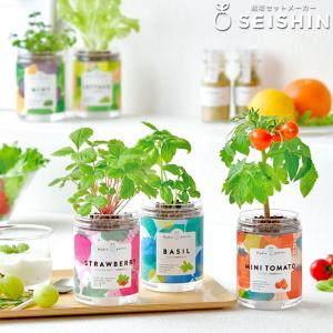 栽培セット 栽培キット 聖新陶芸 グリーンペッ...の詳細画像1