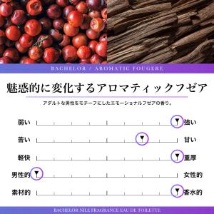 NILE 香水 フレグランス オードトワレ メ...の詳細画像1