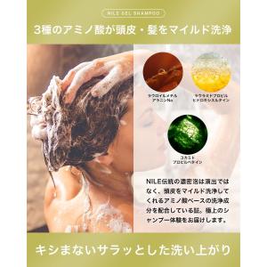 NILE 超濃密泡 シャンプー アミノ酸シャン...の詳細画像4