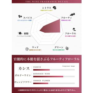 NILE リードディフューザー ルームフレグラ...の詳細画像4
