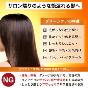 NILE ダメージケア シャンプー トリートメ...の詳細画像3