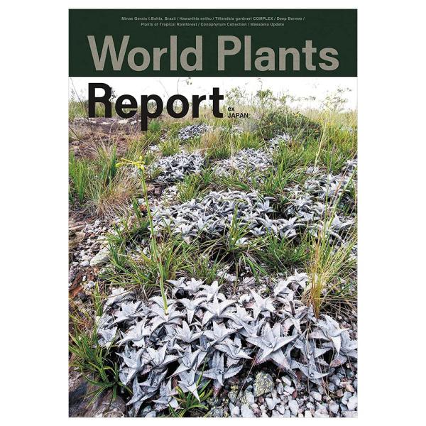 World Plants Report ex Japan ワールドプランツレポート 植物 多肉植物 ...