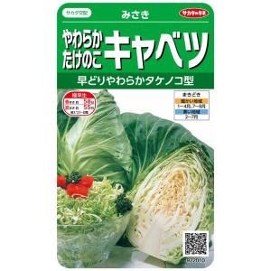 サカタのタネ 実咲野菜2010 やわらかたけのこキャベツ みさき 00922010