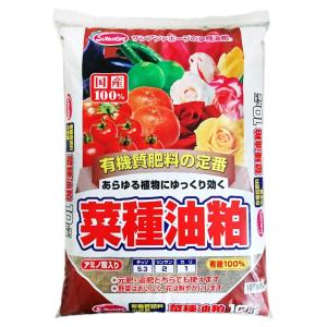 サンアンドホープ 菜種油粕 10kg｜rise361