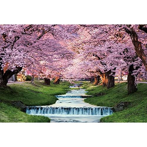 1000ピース 観音寺川の桜並木 (福島) (50ｘ75cm) ジグソーパズル
