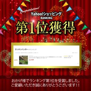 【爆買クーポン】【Yahoo1位】ハンギングラ...の詳細画像1
