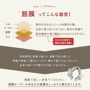 これひとつで全身くまなくほぐせる 筋膜ローラー...の詳細画像5