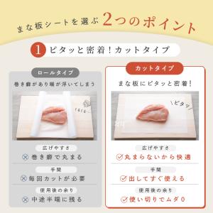 新商品 まな板シート まな板 カットタイプ 切...の詳細画像3