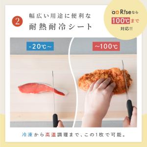 新商品 まな板シート まな板 カットタイプ 切...の詳細画像4