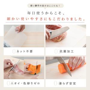 新商品 まな板シート まな板 カットタイプ 切...の詳細画像5