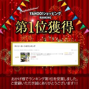 キャリーカート 折りたたみ 軽量 コンパクト ...の詳細画像1