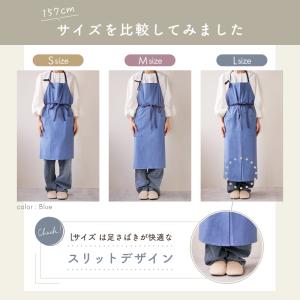 【今使えるクーポン有】【リニューアル】カフェエ...の詳細画像4