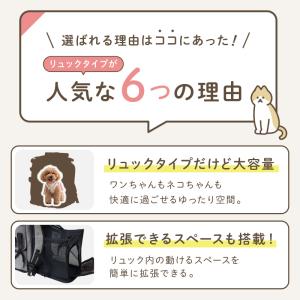 【爆買クーポン】ペットキャリーバッグ 3色 メ...の詳細画像4