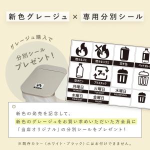 ゴミ箱 45リットル スリム 蓋付き 45l ...の詳細画像2