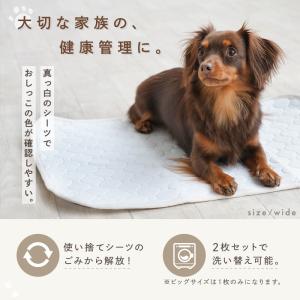 【今使えるクーポン有】洗える 2枚セット 速乾...の詳細画像1