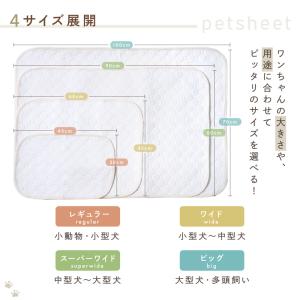 【今使えるクーポン有】洗える 2枚セット 速乾...の詳細画像4