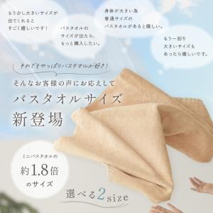 【今使えるクーポン有】防菌 防臭 ふわふわ 綿...の詳細画像4