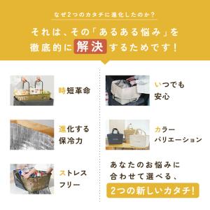 【今使えるクーポン有】【2980円〜】レジかご...の詳細画像5