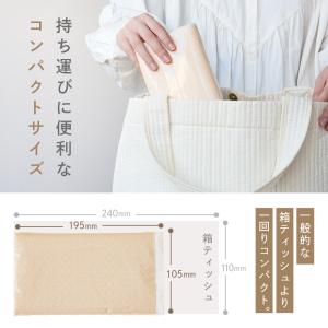 【2点選んで5%クーポン】新商品 ソフトパック...の詳細画像5
