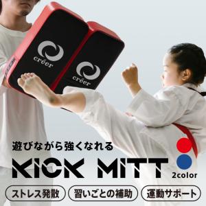 キック ミット 2個 セット 空手  子供 大人 トレーニング