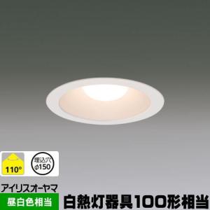 IRIS OHYAMA（アイリスオーヤマ） LSB100-1050NCAW-V3 断熱施工対応 高