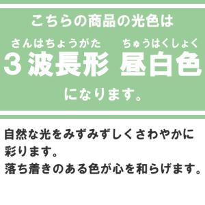 ホタルクス(旧NEC) FHF32EX-N-H...の詳細画像1