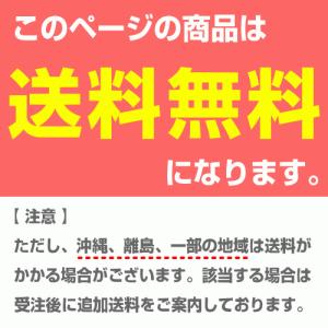 ホタルクス(旧NEC) FL20SD 直管 蛍...の詳細画像3