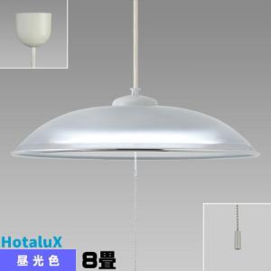 ホタルクス NEC LED洋風ペンダントライト 調光タイプ〜8畳 HCDB0861-X