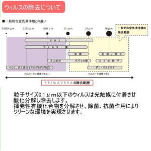 PRIMAVERA プリマヴェーラ サークルP...の詳細画像3