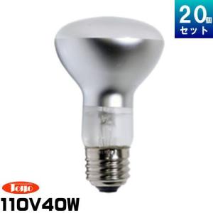 Panasonic（パナソニック） 水銀灯用安定器 （100V用 一般形 1灯用 高
