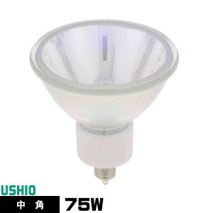 Panasonic（パナソニック） LR110V25W・S ミニレフ電球 25形 ホワイト