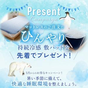 〈冷感敷パッドプレゼント〉 極厚 マットレス ...の詳細画像1