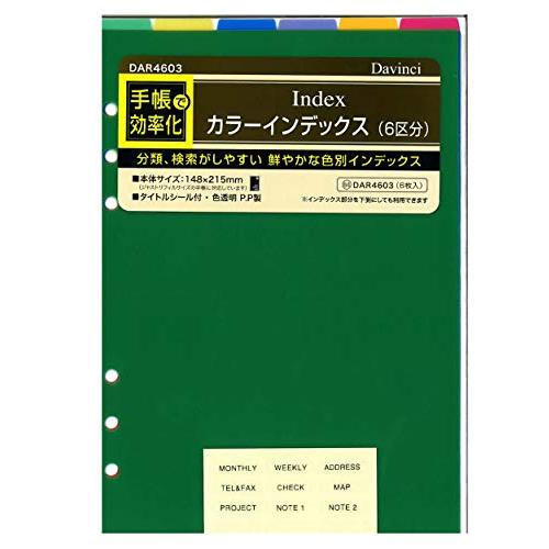 レイメイ藤井 ダヴィンチ 手帳用リフィル カラーインデックス 6区分 A5 ビビッドカラー