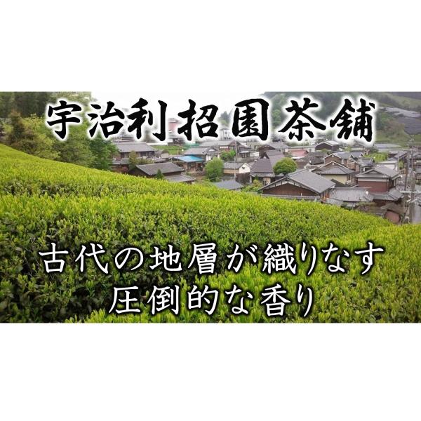 2022年産　辻慶和原山純煎茶50g　〈京都府産宇治茶100％、ノンブレンド・単一畑のお茶〉〈メール...