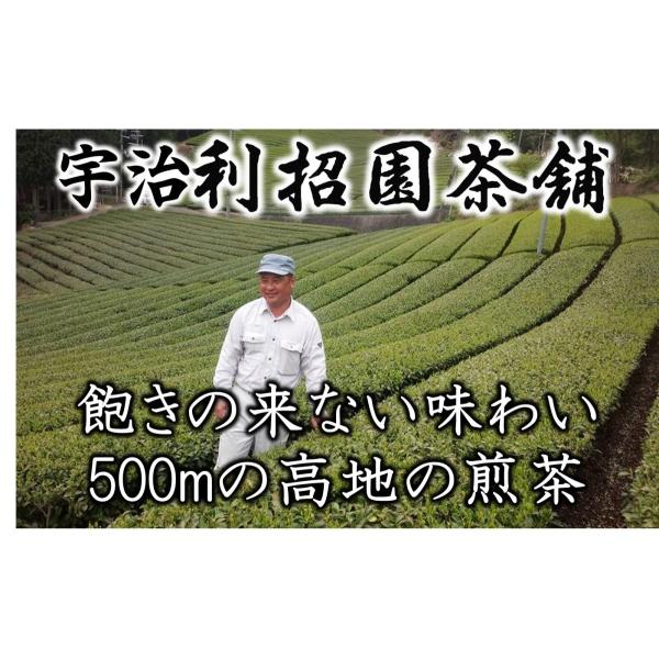 2025年産　童仙房柚木おくみどり50g〈京都府産宇治茶100％ノンブレンド・単一畑のお茶〉〈メール...