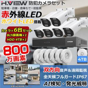 4K画質・フルカラー24/7撮影・双方向音声】H.View 防犯カメラ 屋外