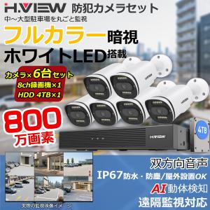 H.VIEW 【4K画質・フルカラー撮影・双方向音声】H.View 防犯カメラ