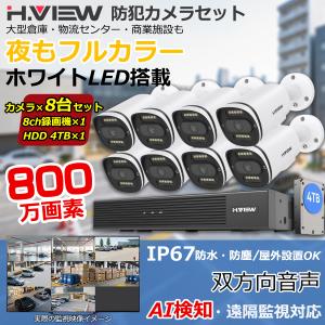 4K画質・フルカラー24/7撮影・双方向音声】H.View 防犯カメラ 屋外