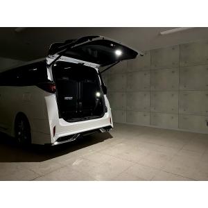 TEIN（テイン） 車高調 RX1 + EDFC5 VSTB4-T1AS3 トヨタ 30系