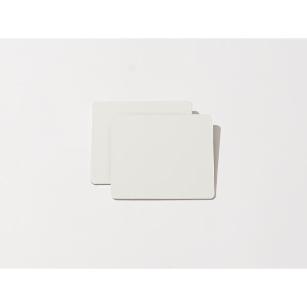 紙スキージ 大（2個入り）