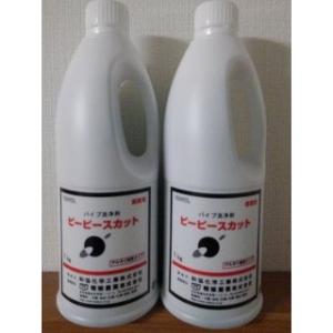 最終処分セール 排水管洗浄剤ピーピーライト（ピーピースルーの弟分）１ｋｇ｜risron-otaru