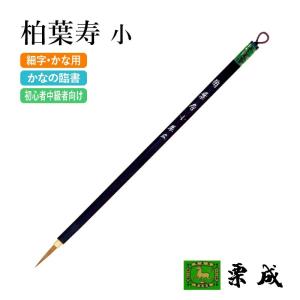 2026年6月】書初め 筆 6号（書道筆）（セット/単品：単品）のおすすめ
